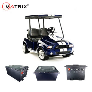 Golf cart(11)
